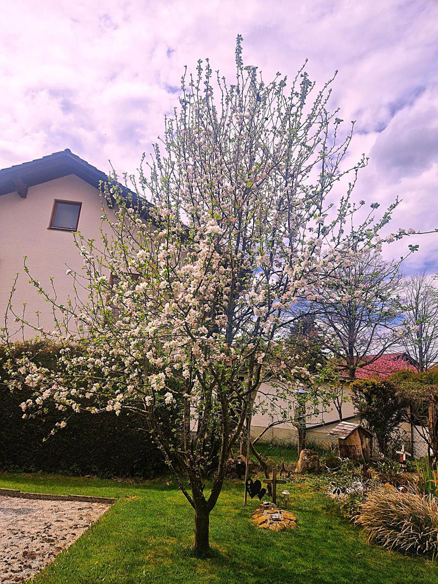 Pension Landhaus Koller - Adults Only Боденмайс Екстер'єр фото