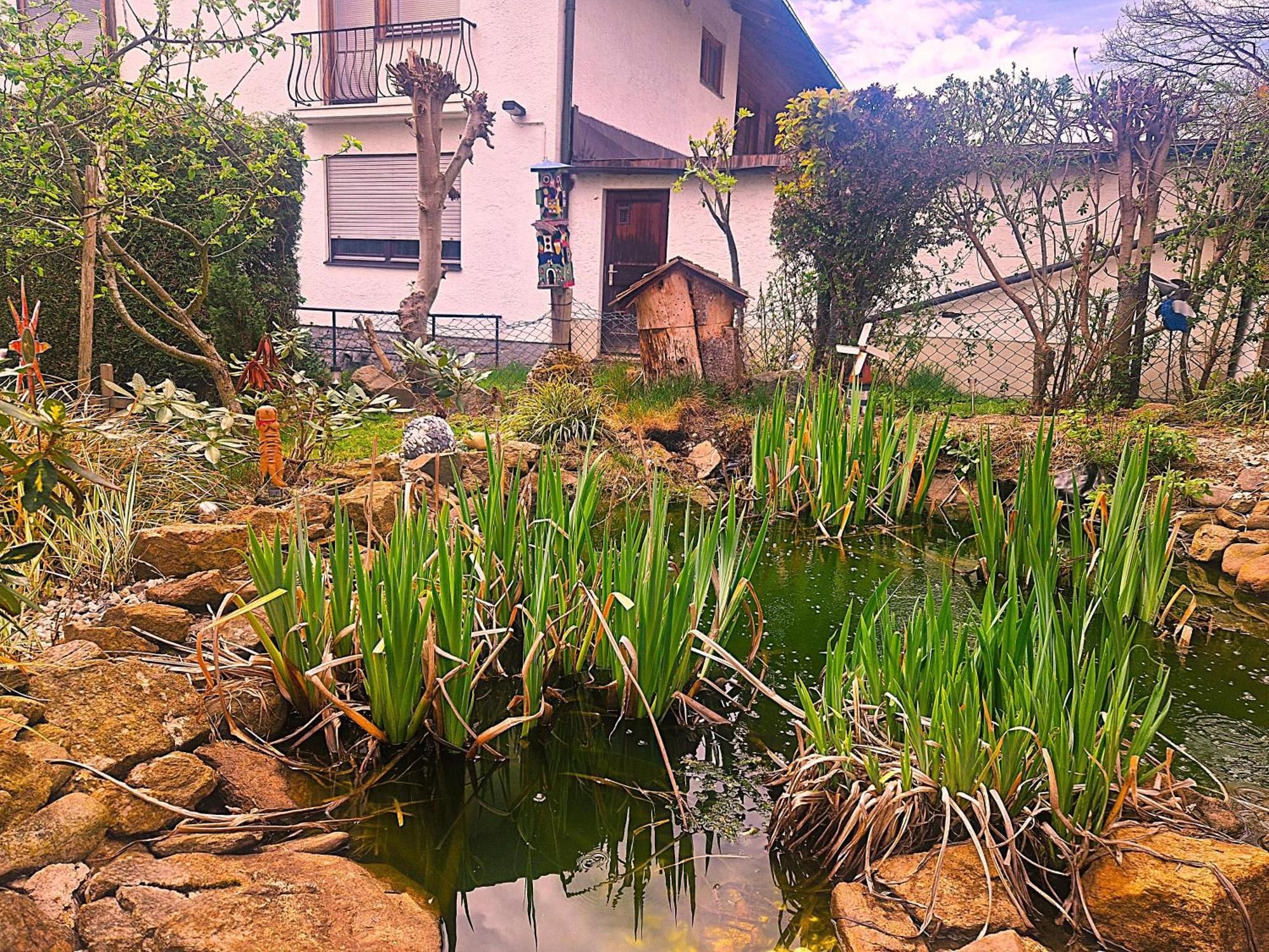 Pension Landhaus Koller - Adults Only Боденмайс Екстер'єр фото